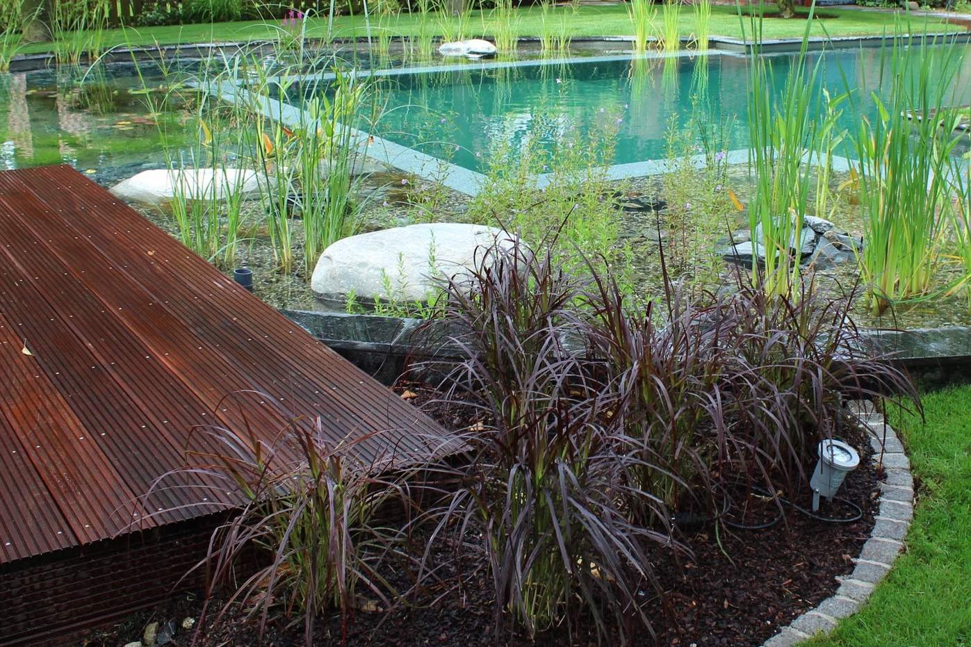 Ein Schwimmteich in Hamminkeln mit unterschiedlichen Pflanzen umrandet