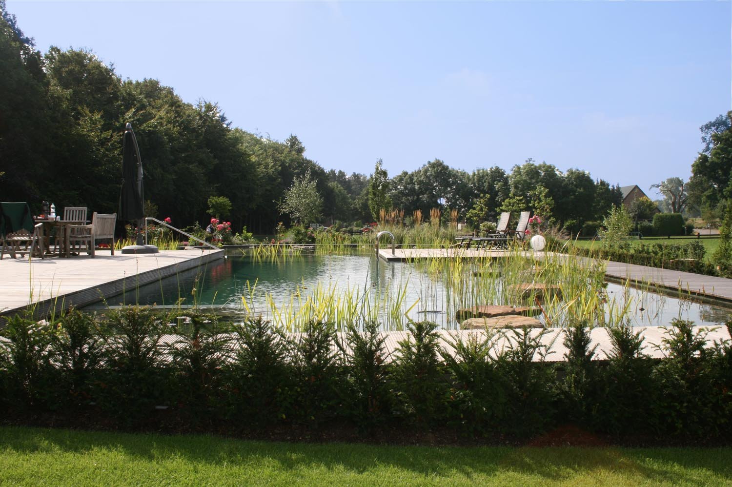 Ein Design Schwimmteich mit runden und eckigen Abschnitten, welcher am höchsten Punkt des Gartens eingefügt wurde mit Blick vom Sonnendeck auf den Garten und vom Wintergarten auf die Wasserfläche.