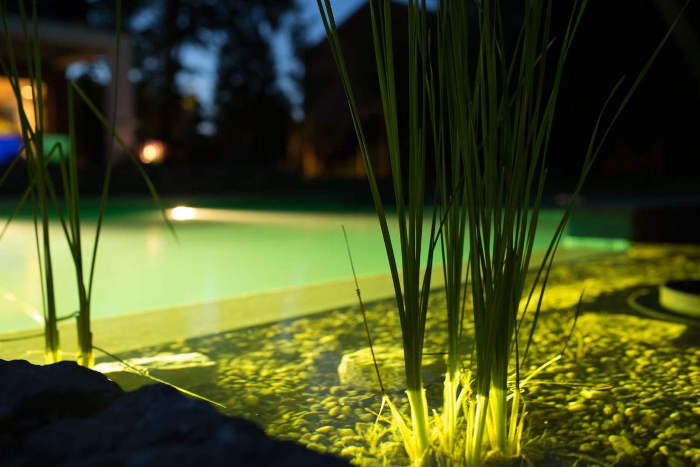 Ein Garten mit einer Kombination aus Unterwasserbeleuchtung im Schwimmteich und Lichtkonzept im Garten in Wesel