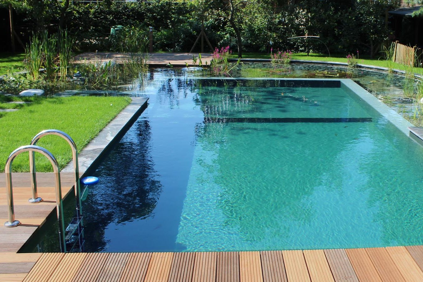Ein Design Schwimmteich mit angerundeter Regenerationszone und einem leichten Übergang von Wasser zu Garten.