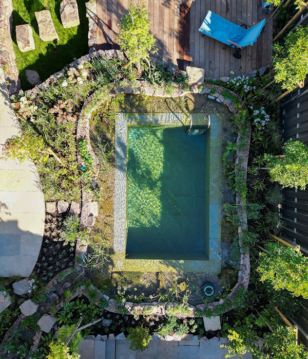 Ein Biotop-Living-Pool, gebaut von Garten Bitters, mit biologischer Filteranlage, Natursteinen und Wasserpflanzen.