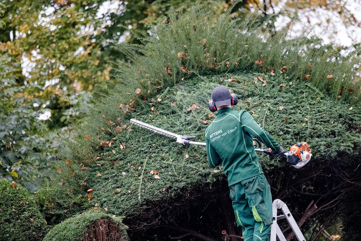 Ein Gärtner bei der Gartenpflege von Garten Bitters mit einer Heckenschere.