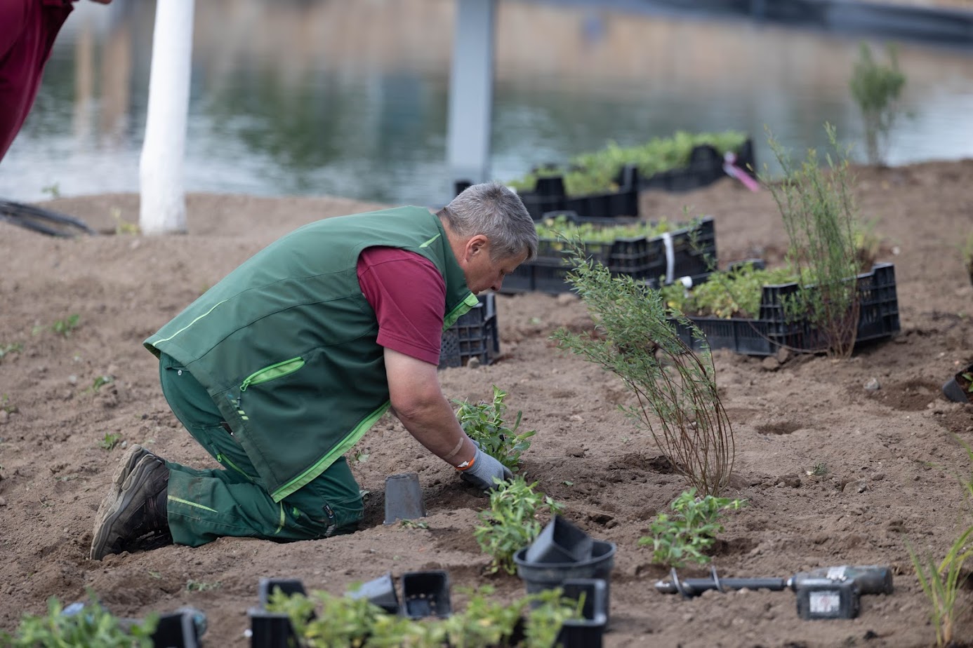 Ein Mitarbeiter von Garten Bitters, aus dem Jobfeld Gärtner-Meister, pflanzt verschiedene Pflanzen in den Boden.