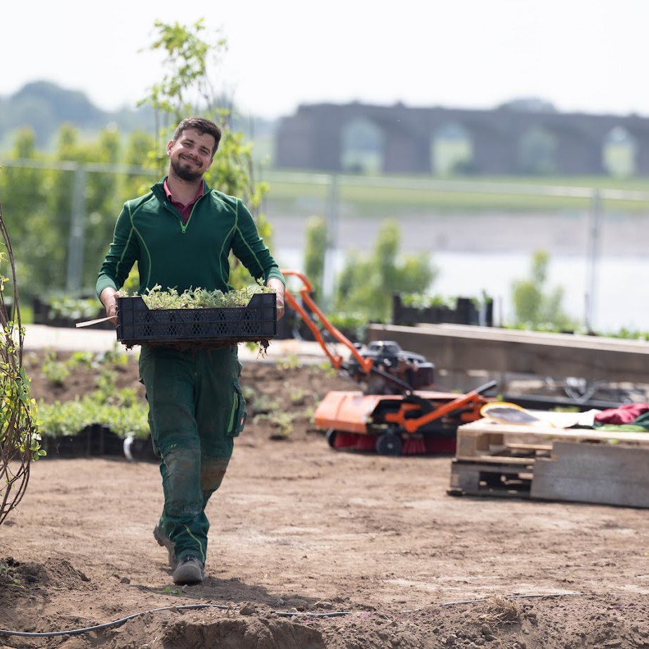Ein Mitarbeiter von Garten Bitters, aus dem Bereich Gartenpflege, trägt eine Kiste voller Pflanzen vor sich.
