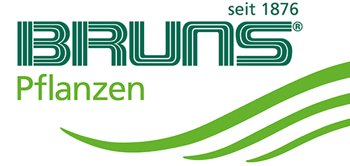 Das Logo von Baumschule Bruns.