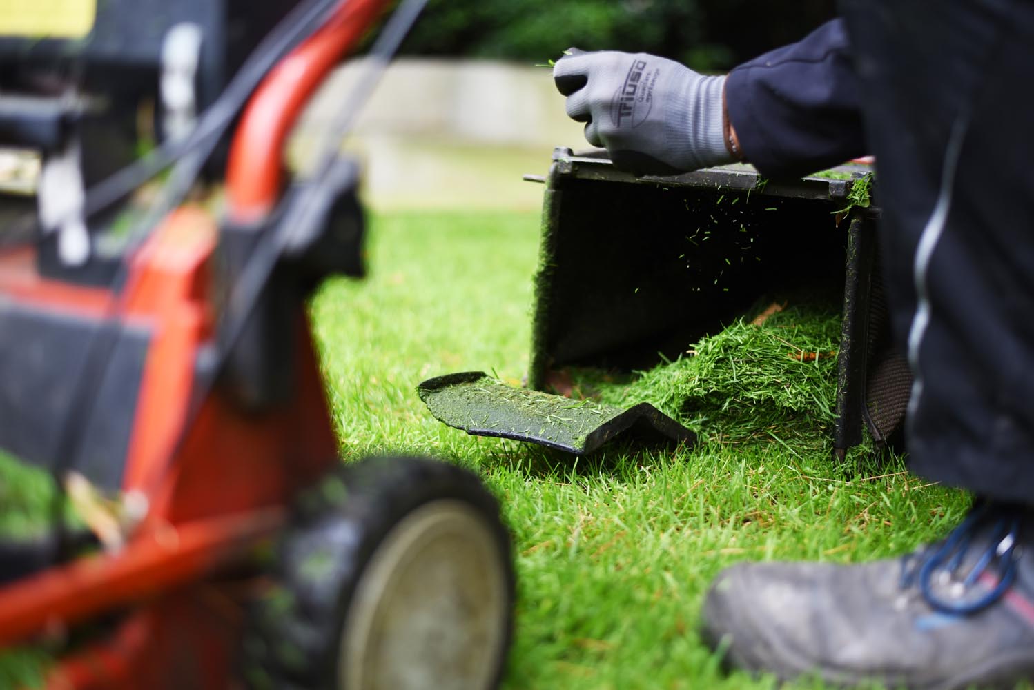 Eine Nahaufnahme eines vollen Grasfangkorbs von Garten Bitters.