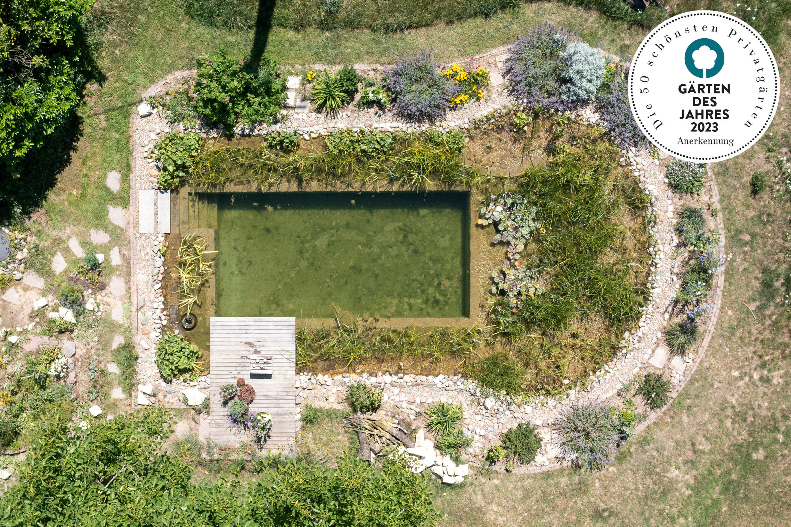 Drohnenaufnahme eines Schwimmteiches mit Bepflanzung von Garten Bitters mit Auszeichnung Garten des Jahres 2023