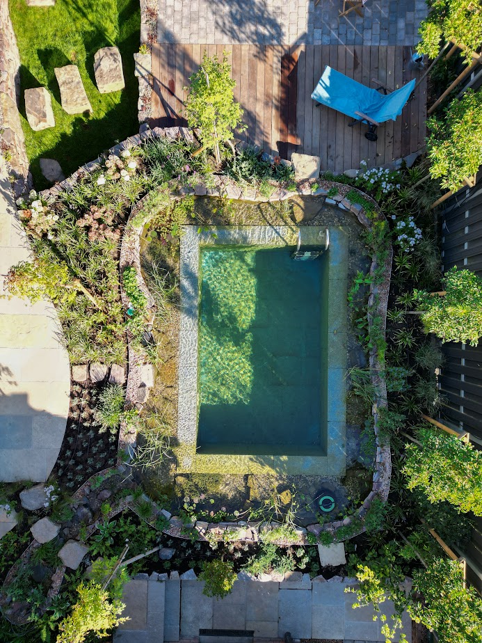 Schwimmteich mit Bepflanzung und natürlicher Filteranlage von Garten Bitters