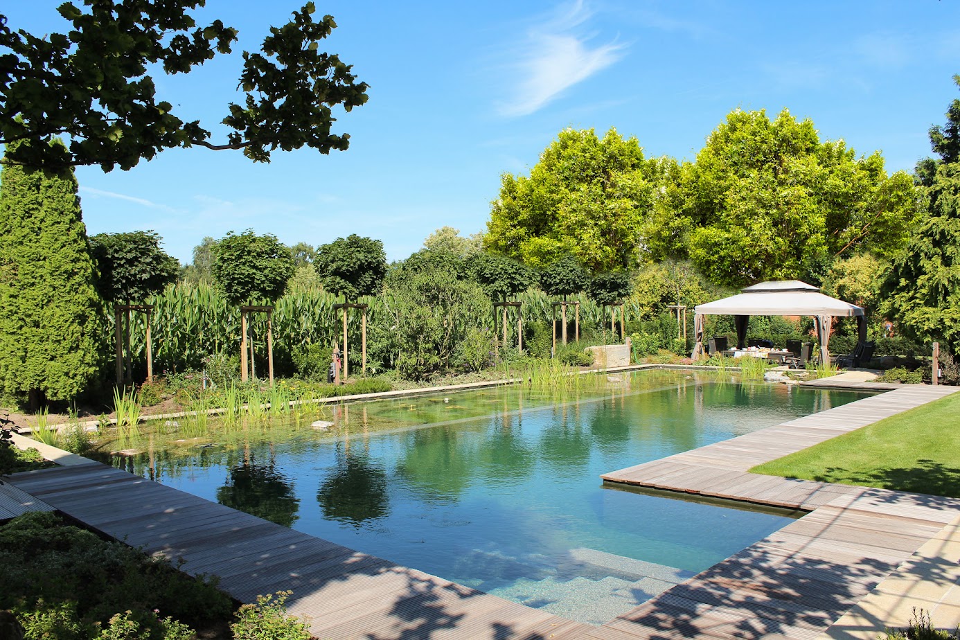 Großer Schwimmteich mit natürlicher Filteranlage von Garten Bitters