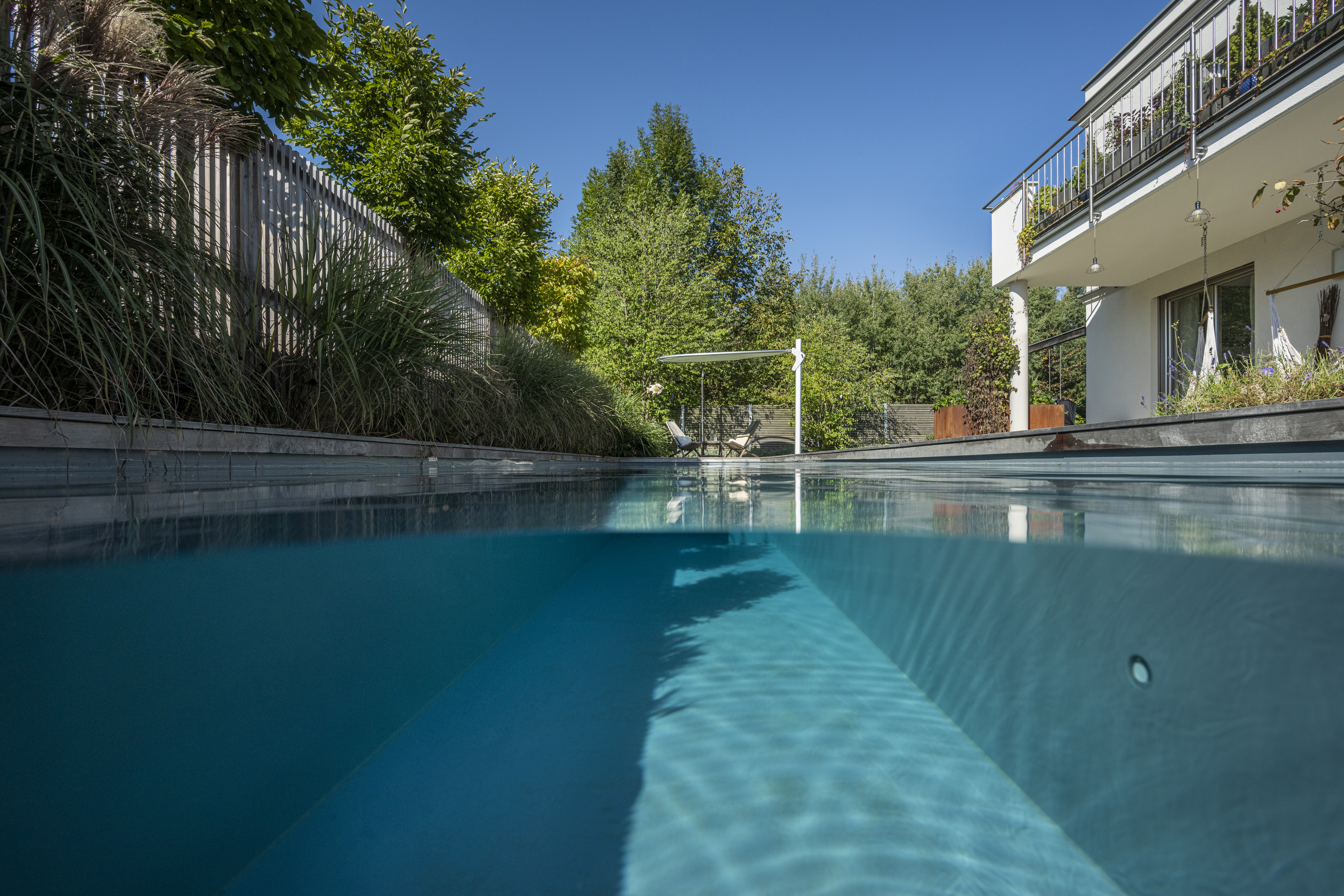 Ein Biotop-Folienpool, gebaut von Garten Bitters, fotografiert auf Höher der Wasseroberfläche.