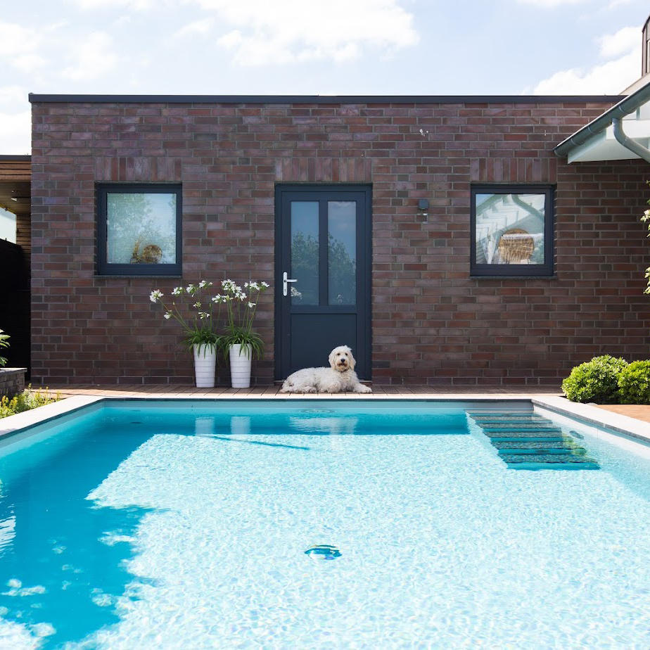 Ein Folienpool mit Treppe von Garten Bitters mit einem Hund in der Mitte des Bildes.