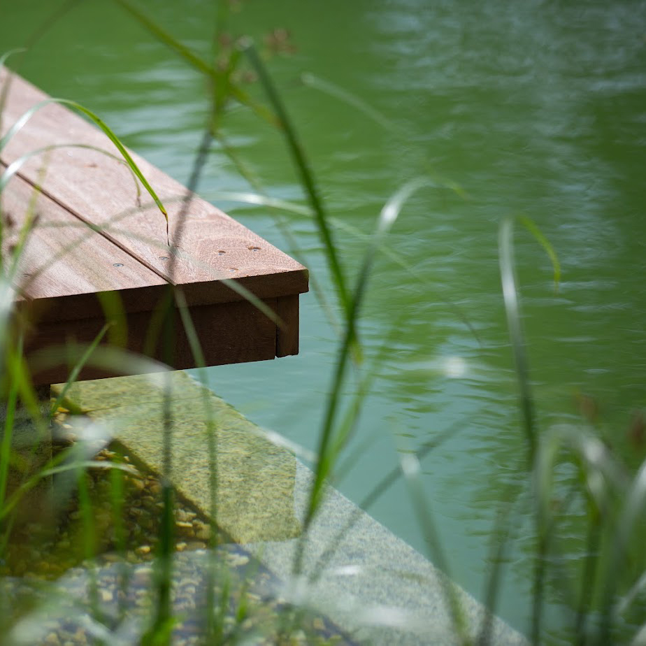 Ein Closeup von einem Bitotop-Swimming-Pond, gebaut von Garten Bitters, mit Holzsteg am Überlauf.