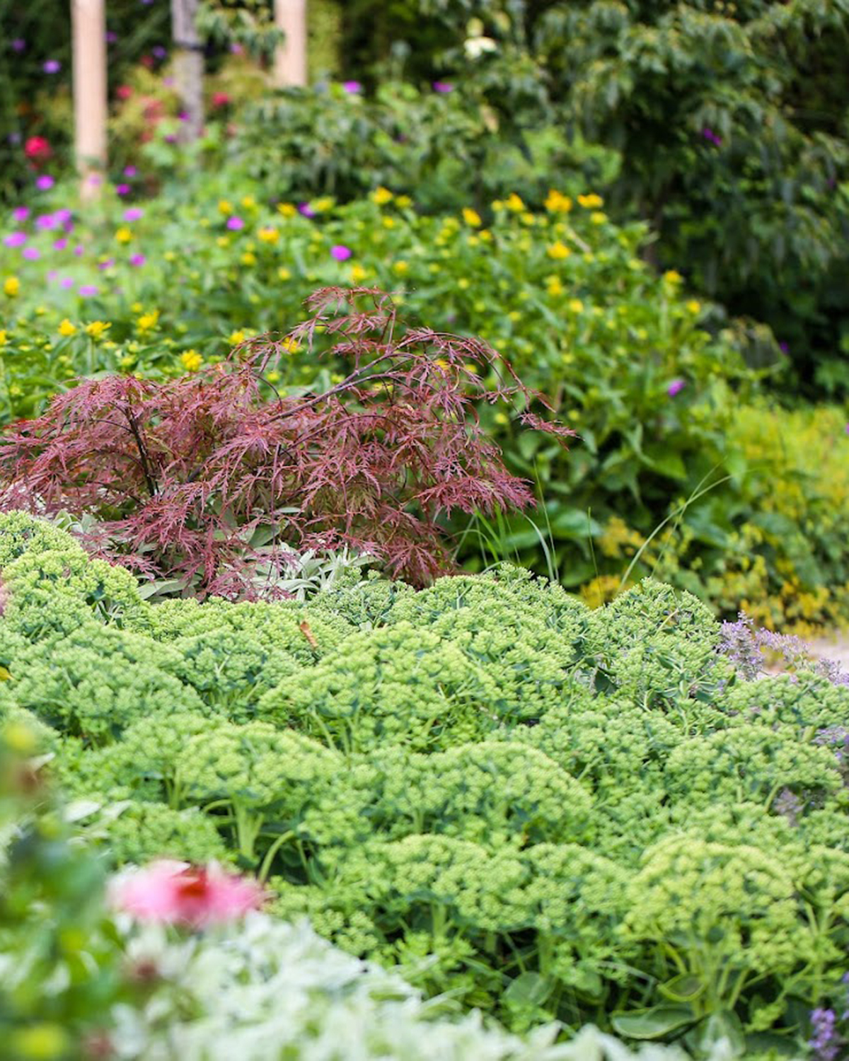 Ein buntes Staudenbeet, mit verschiedenen Pflanzen von Garten Bitters.