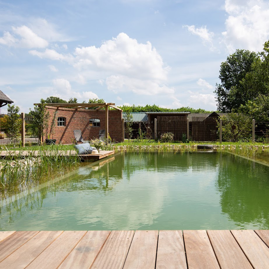 Eine Weitwinkel Aufnahme Biotp-Schwimmteich, gebaut von Garten-Bitters, mit Holz-Umrandung